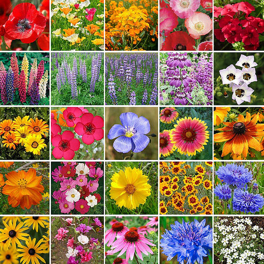 Four Seasons Blooming Mix Flower Seeds