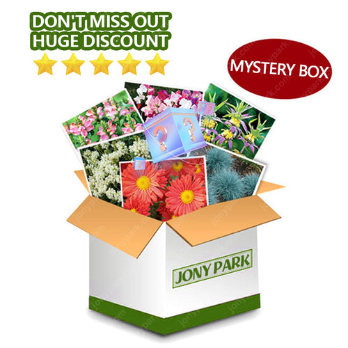 🌱 Mystery Box - Flower Seeds [VALUE OVER $19.99]